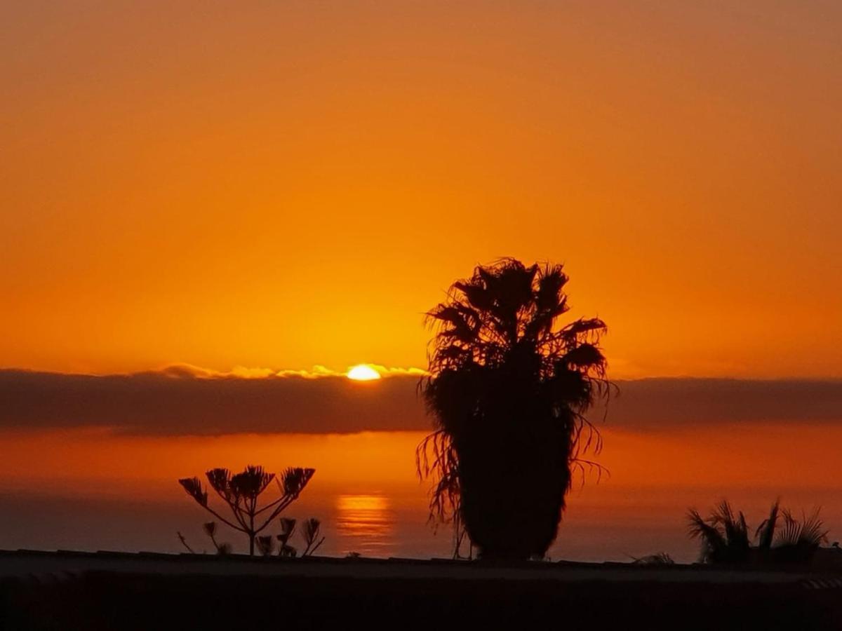 Vina Del Mar Lägenhet Playa de las Americas  Exteriör bild