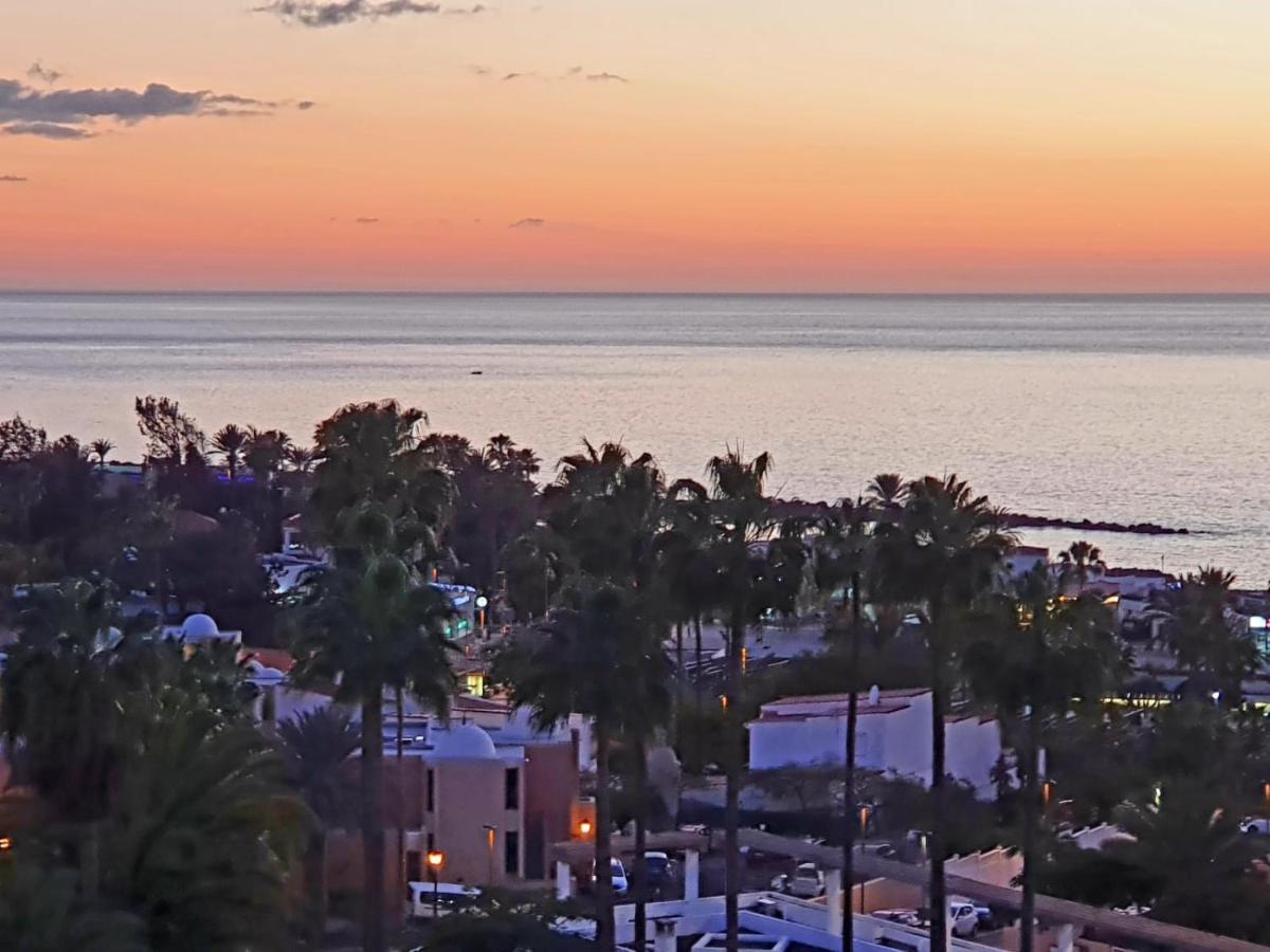 Vina Del Mar Lägenhet Playa de las Americas  Exteriör bild