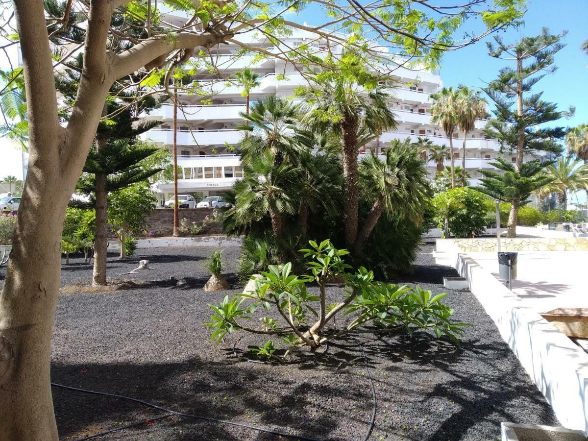 Vina Del Mar Lägenhet Playa de las Americas  Exteriör bild